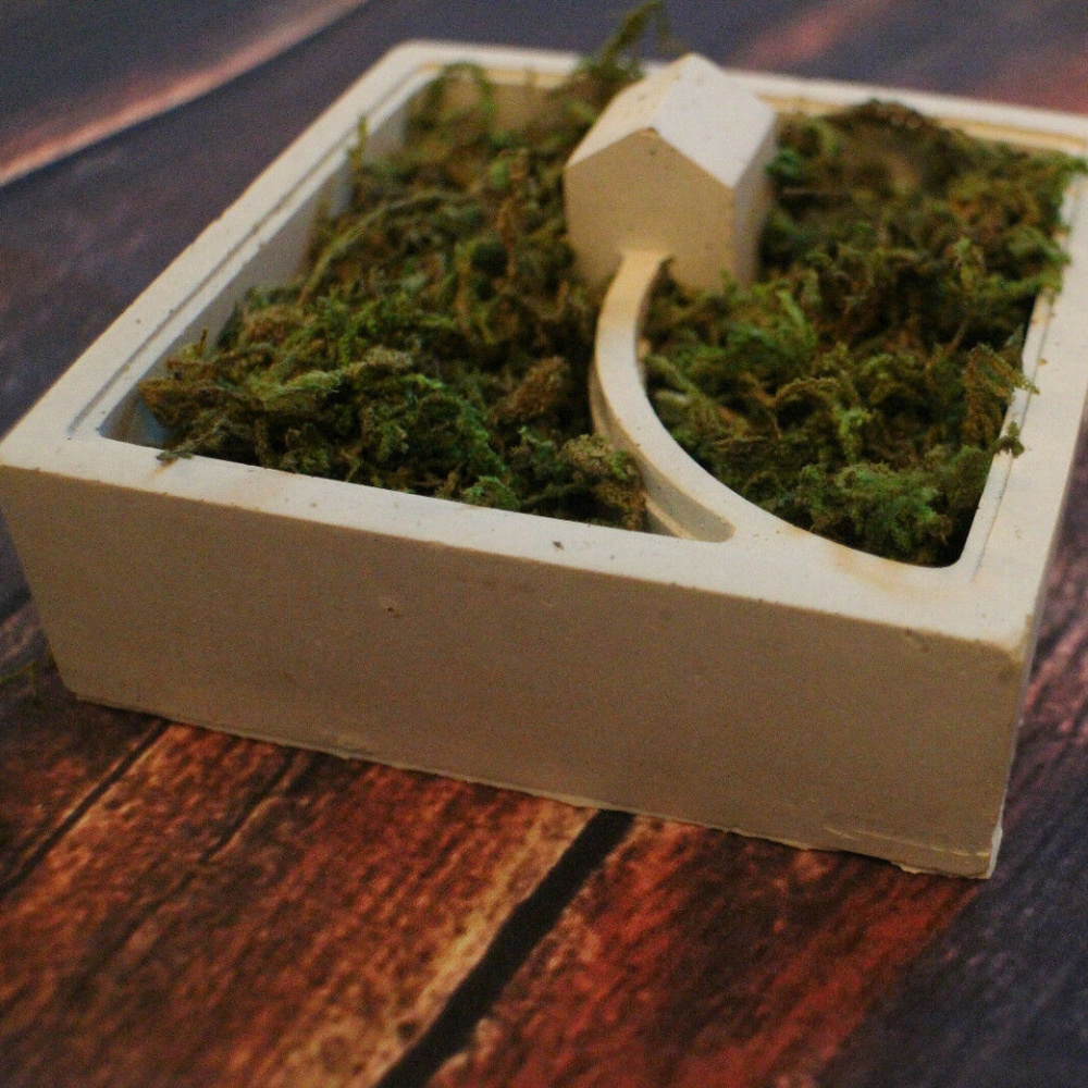 New Handmade Concrete Succulent Moss Planter House